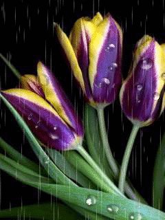 file_63582112