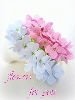 file_43337343