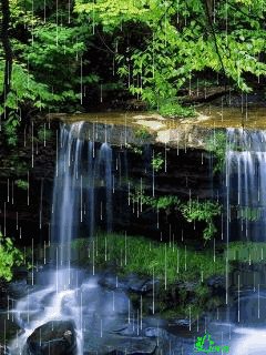 file_58291861
