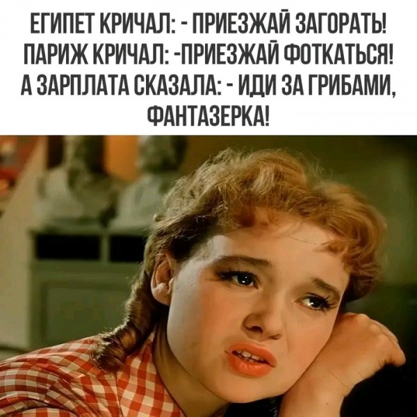 file_103380040