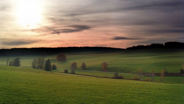 file_70463746