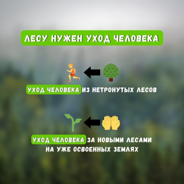 Lesu nuzhen uhod cheloveka