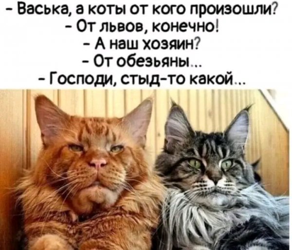 file_103264506