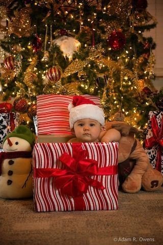 photo 1577134503