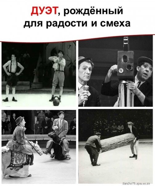file_91823696