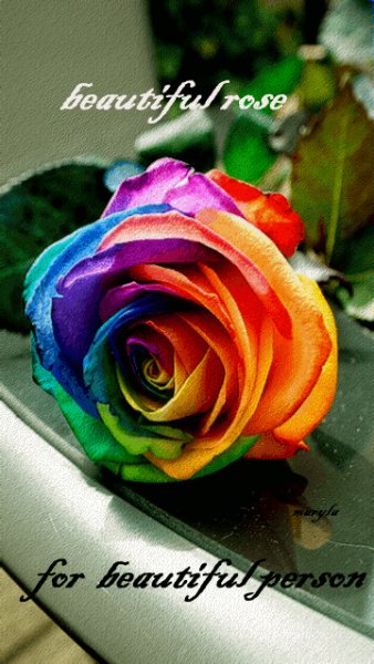 file_48072077