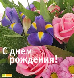 IMG 20181207 950610