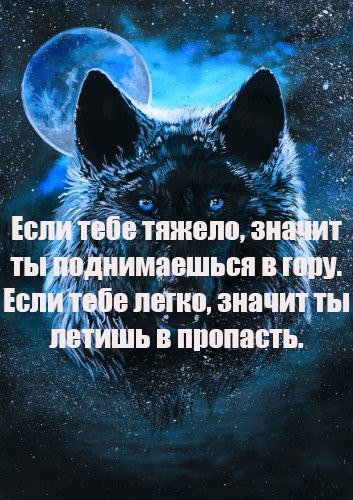 Запомни