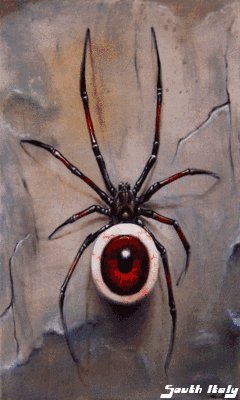 spidereye n5nz2u8e