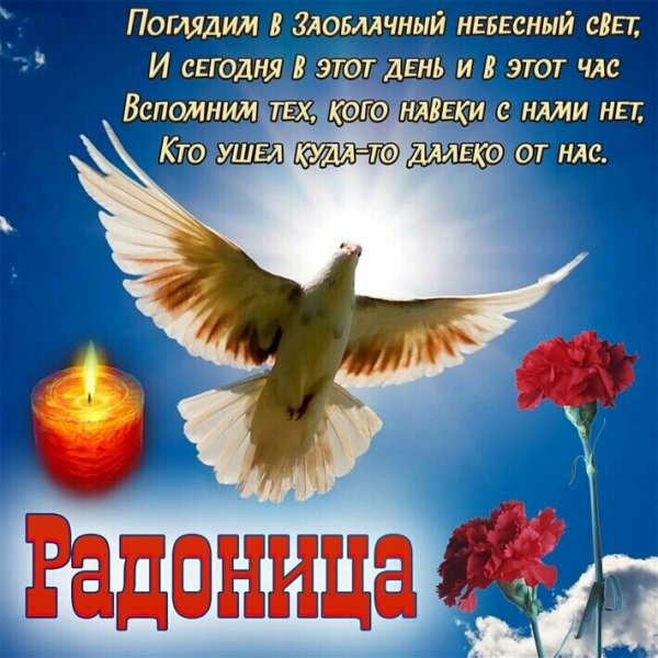 IMG 20220506 131212