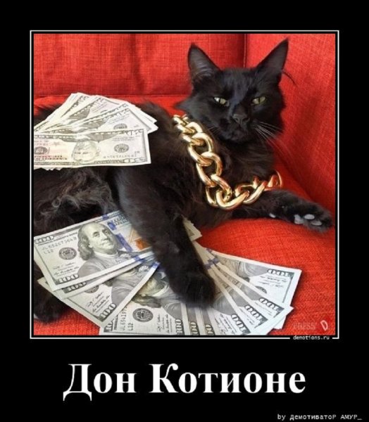 Дон Котионе