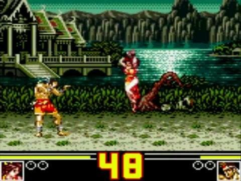 Fatal Fury. Special(Придельная ярость. Специальное издание)