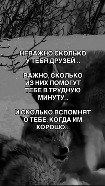 file_101449787