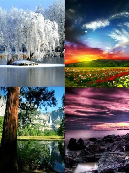 Красивая природа
