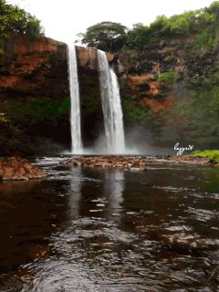 file_56438879