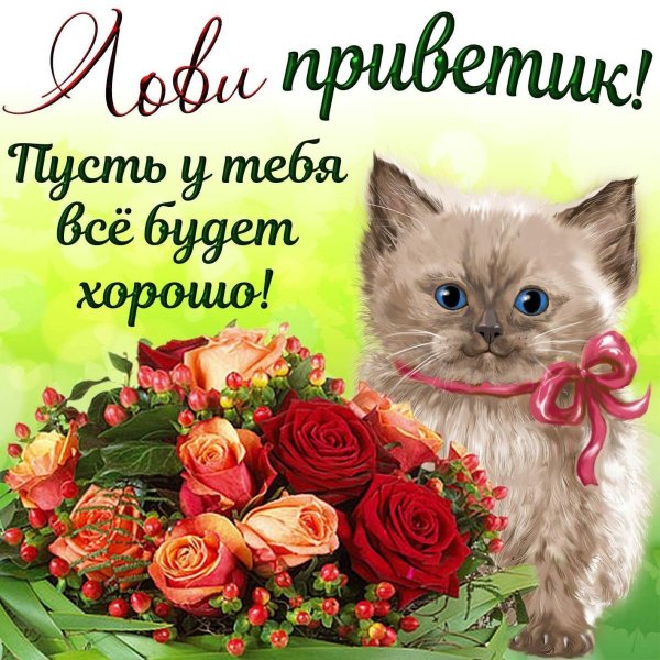 IMG 20240301 234322