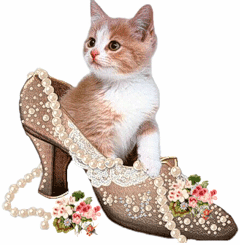котёнок анимашка