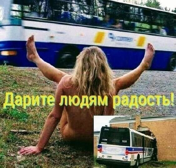 YYY18463