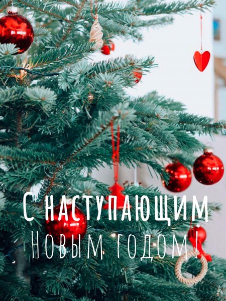 file_98613656
