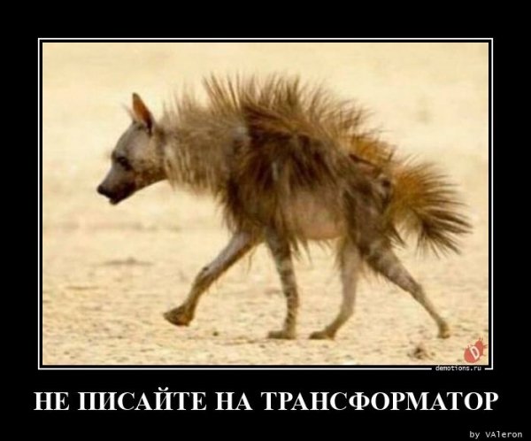 Вот что будет если не послушаете