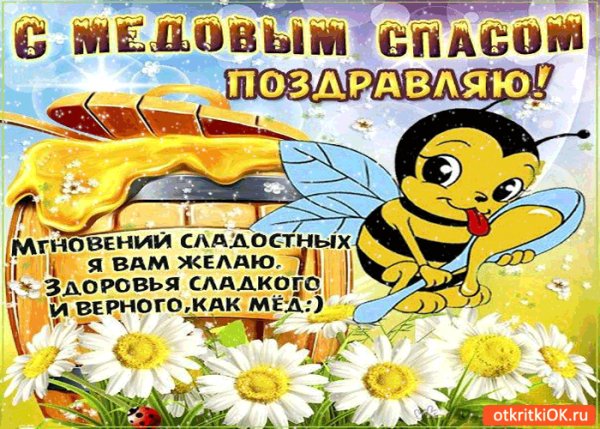 IMG 20170814 233834 1