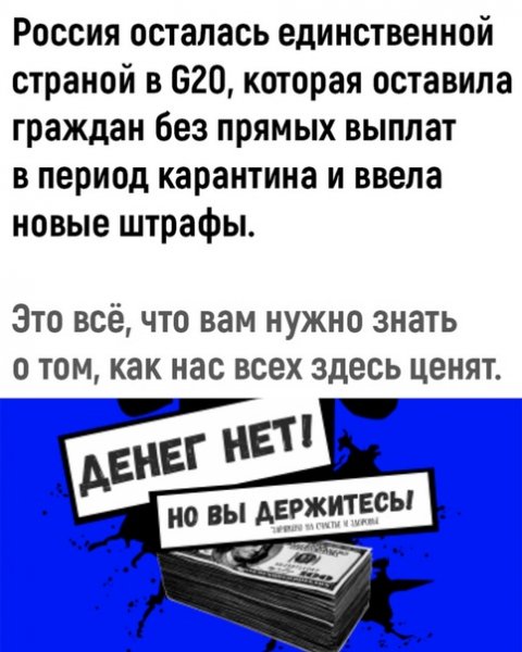 file_81480130