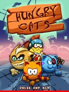 hungry cats 240x320 samsung