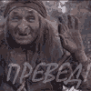 Привед