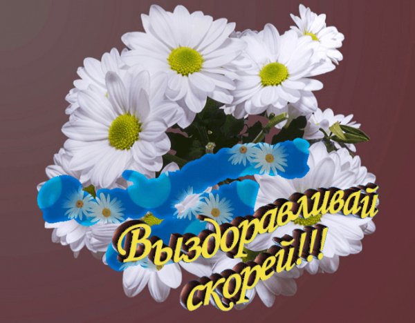 ВС Ромашки