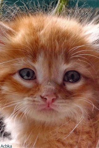 file_78679150