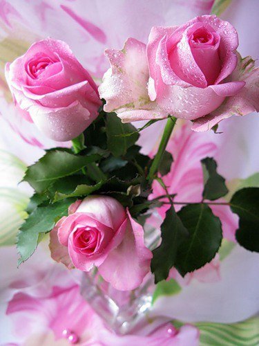 file_39149811