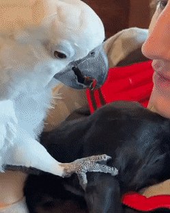 gifs 20