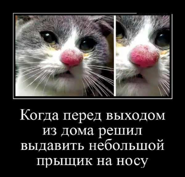 Выдавил небольшой прыщик на носу