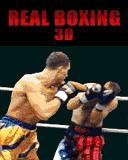 3d real boxing