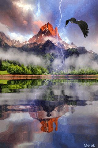 file_64482279
