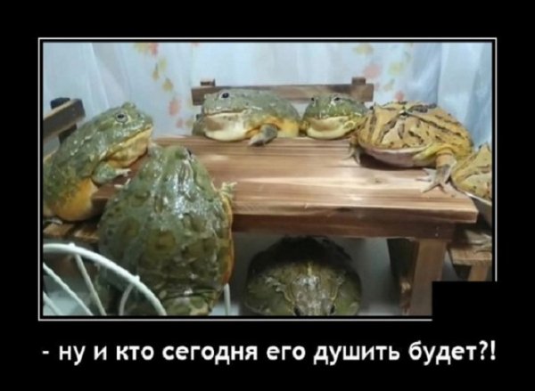 Кого сегодня душить будем?