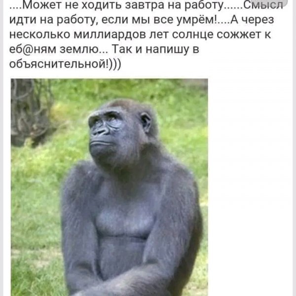 file_103469406