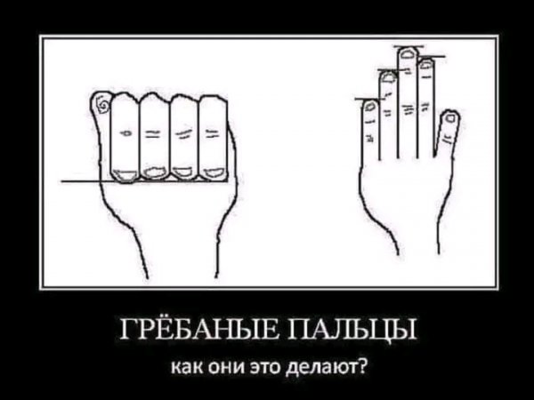 file_103381455