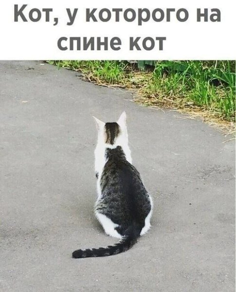 IMG 20260501 132951