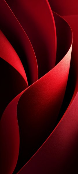 adapted 1080x2408 1783226318