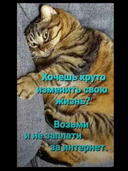 FB IMG 1769803013944