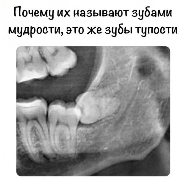 FB IMG 1770216513025