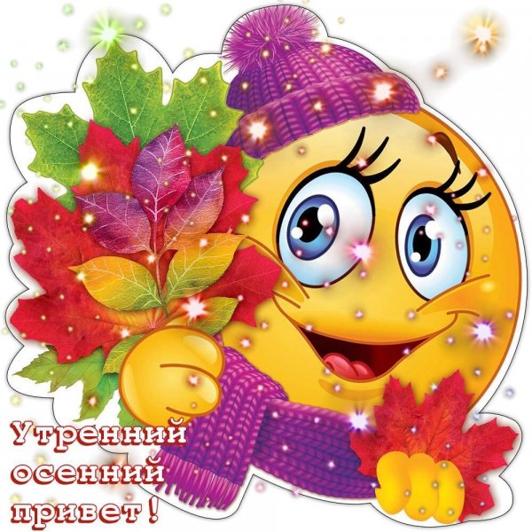 file_79081331