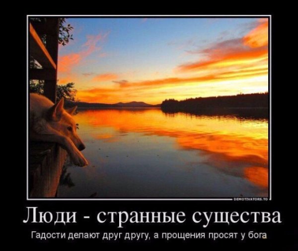 Парадокс