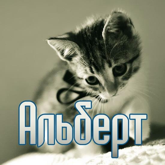 Альберт
