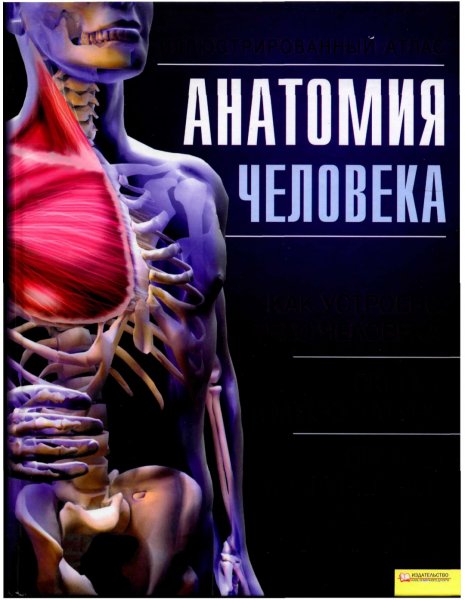 Anatomia cheloveka Illyustrirovanny atlas Kassa