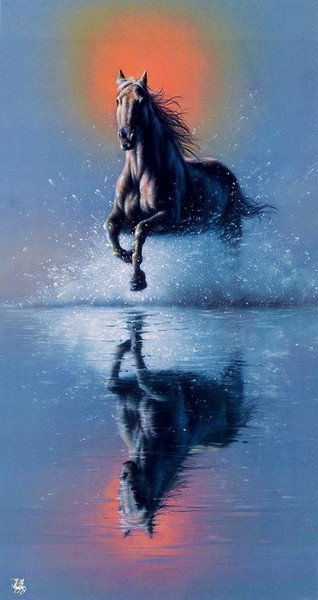 Running with the wind 331871976