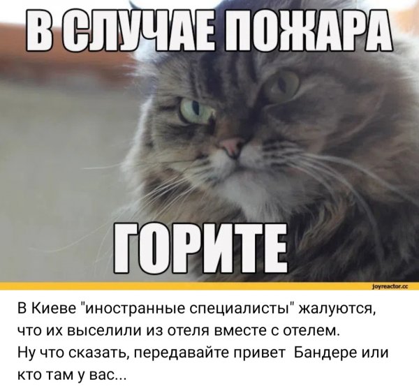 IMG 20260702 122526