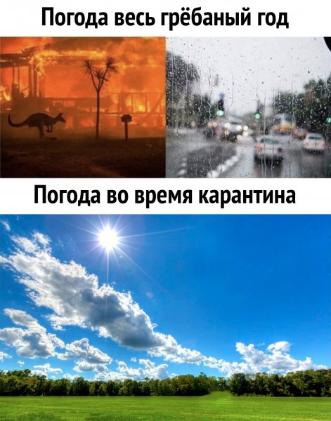 W7CF0jQ5Bl8