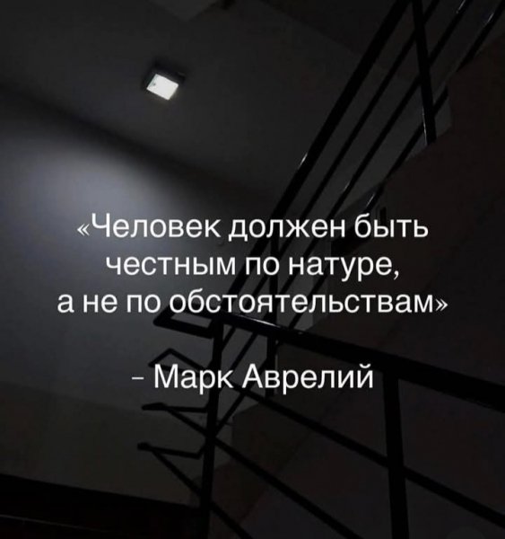 IMG 20260608 113538